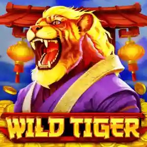 Play Wild Tiger slot by BGAMING on monro-pt.com